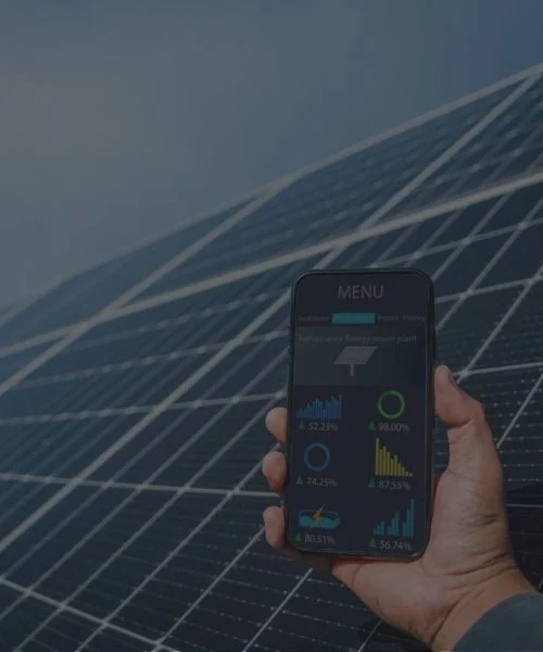 Asset & Portfolio Management