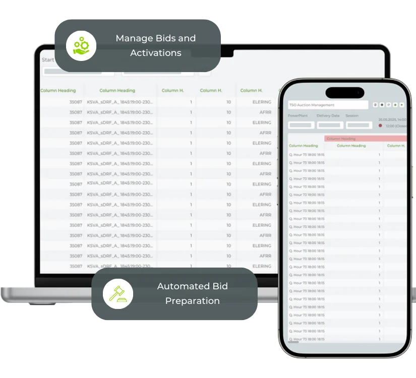 Automated Management for aFRR, mFRR & FCR Markets