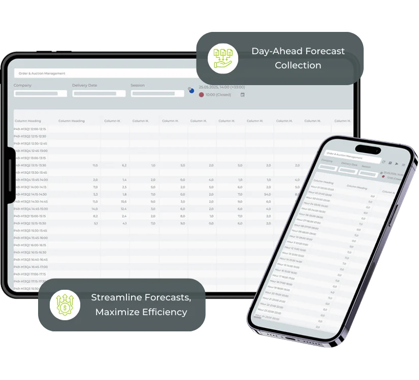 Consumption Forecasts in a Single Interface