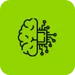 Custom Strategy Algorithms