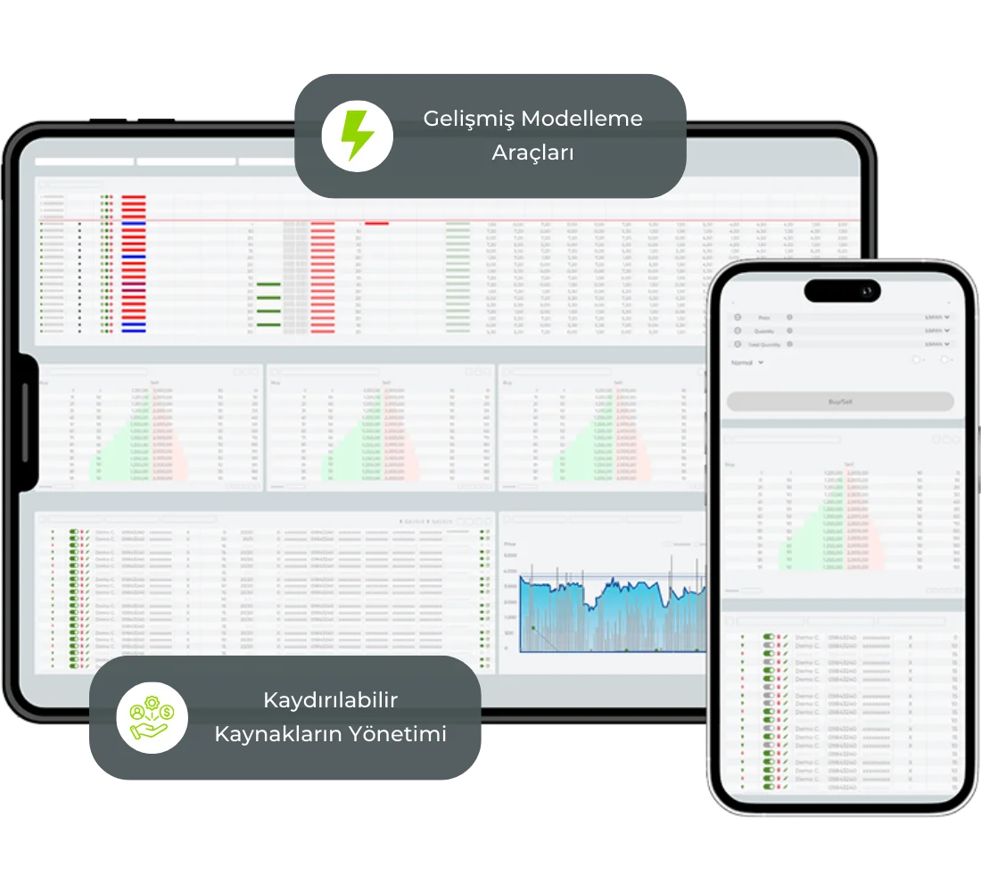 Esneklik Ticaretinde Gelir Optimizasyonu