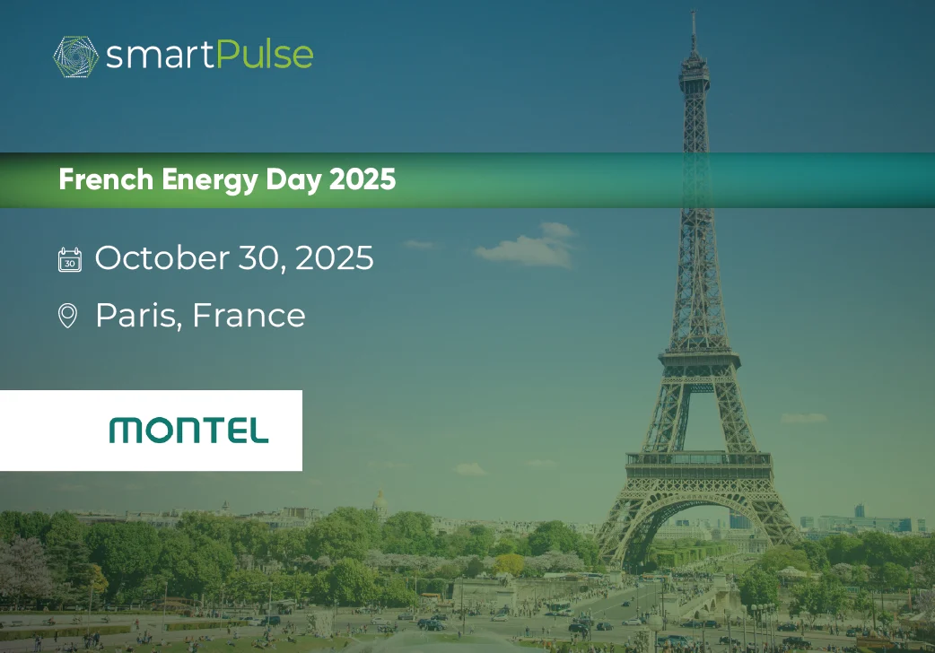 Montel French Energy Day 2025