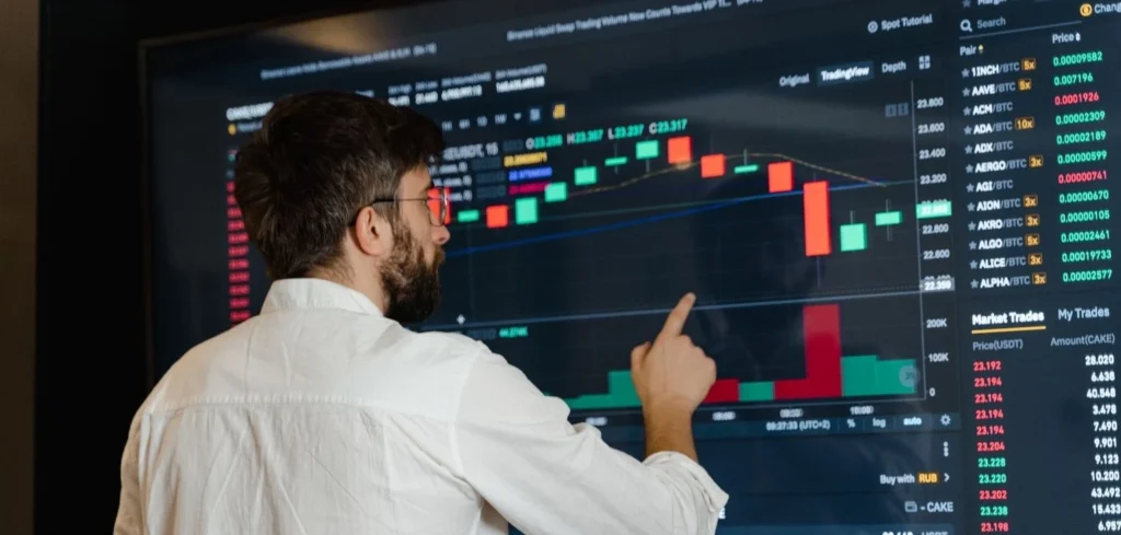 Trader or Software Developer? or Both?