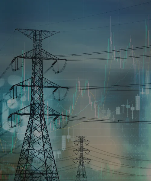 Multi TSO Integration